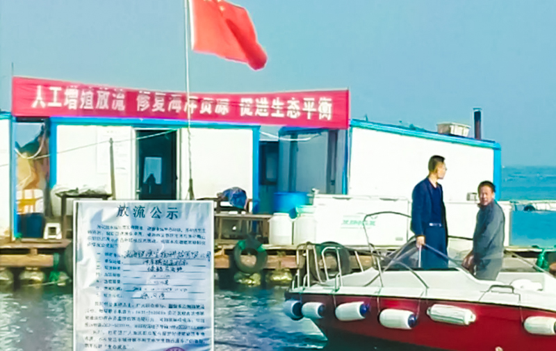  2.78萬(wàn)尾綠鰭?cǎi)R面鲀放流成功
